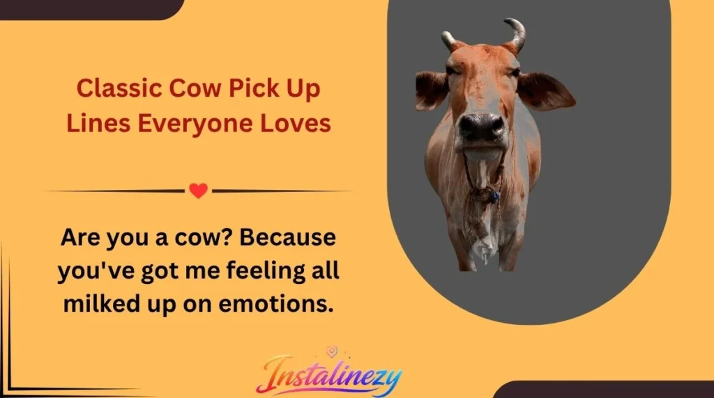 Classic Cow Pick Up Lines Everyone Loves