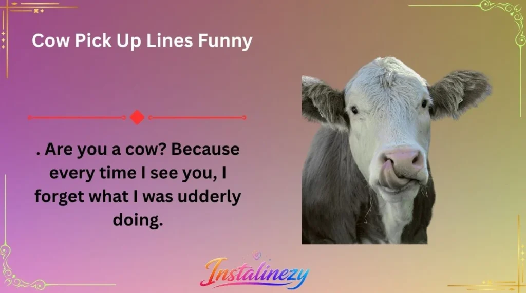 Cow Pick Up Lines Funny