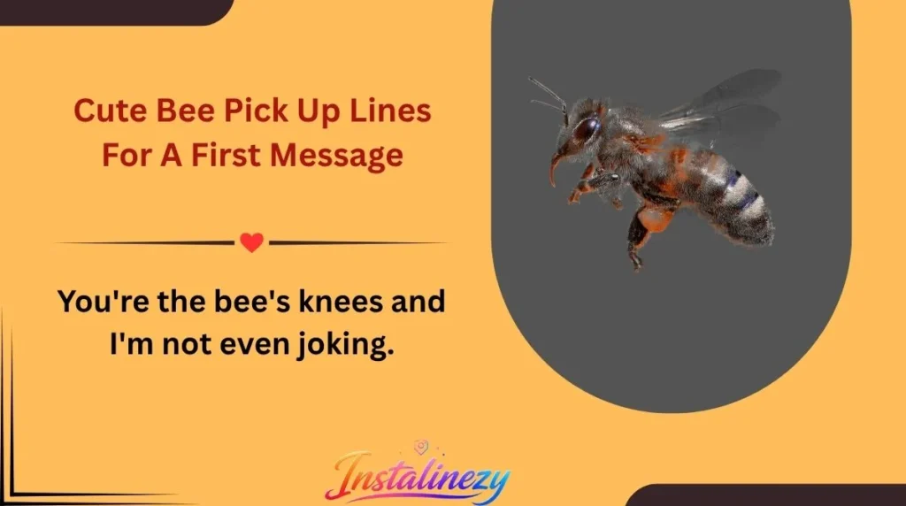 Cute Bee Pick Up Lines For A First Message