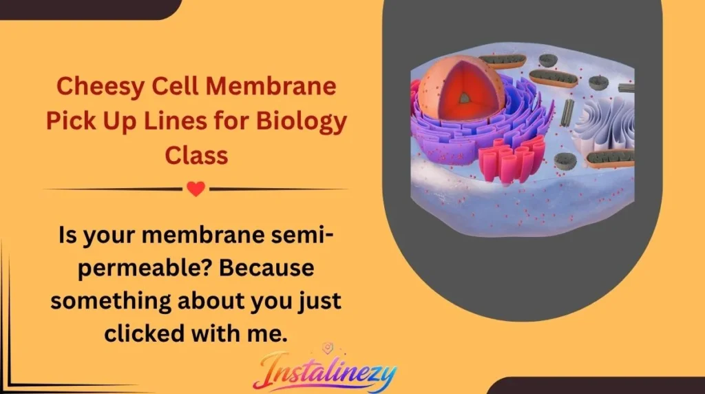 Cheesy Cell Membrane Pick Up Lines for Biology Class