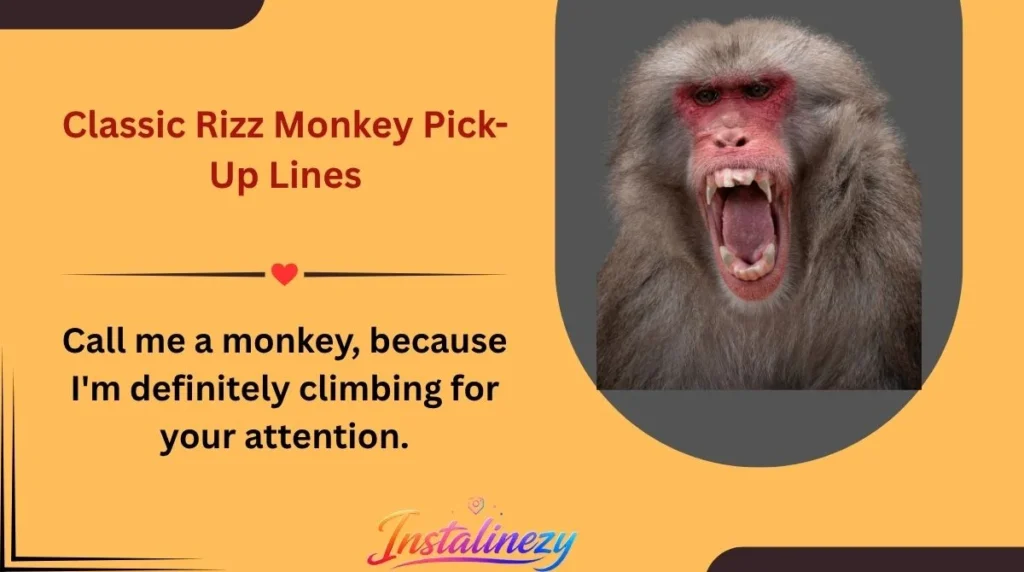 Classic Rizz Monkey Pick-Up Lines