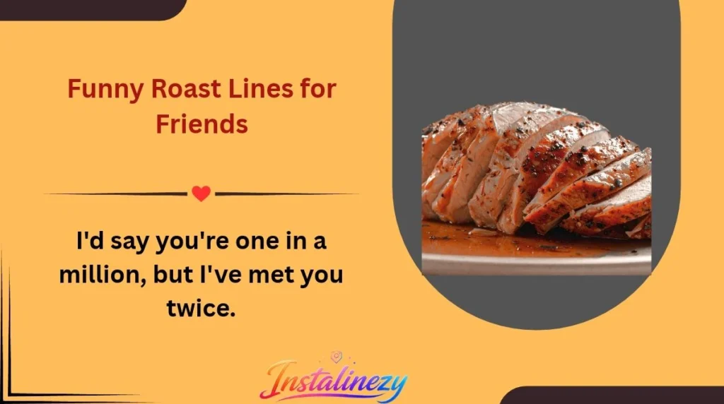 Funny Roast Lines for Friends