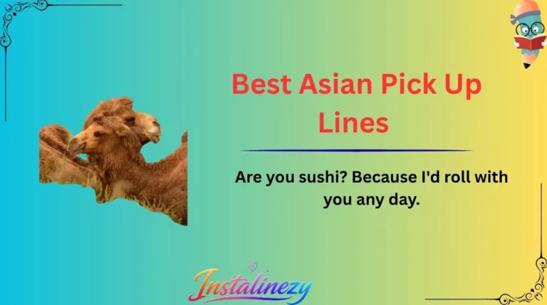 Best Asian Pick Up Lines