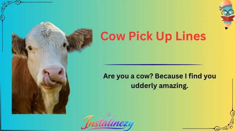 Cow Pick Up Lines